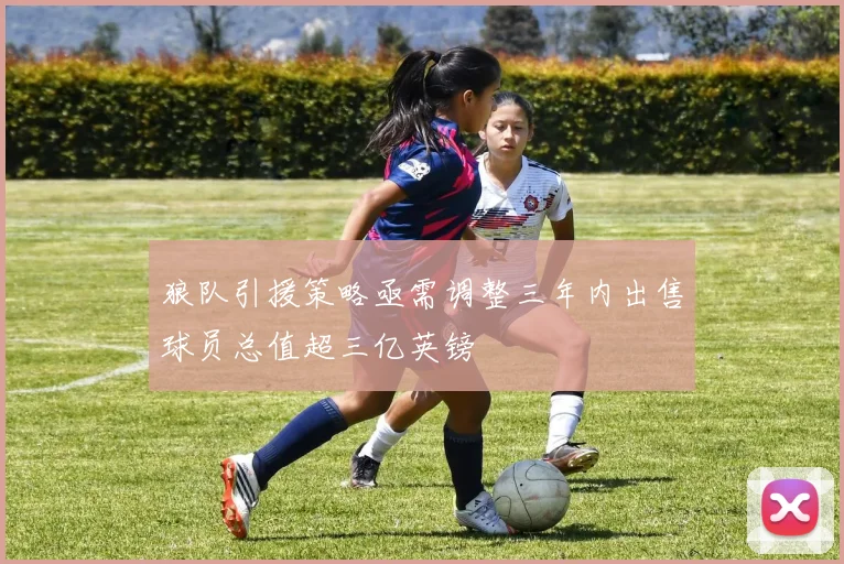 狼队引援策略亟需调整三年内出售球员总值超三亿英镑